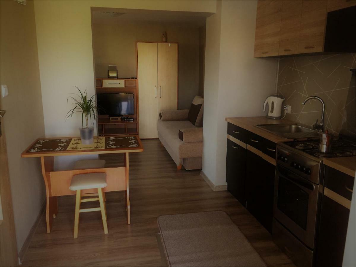 U Dzieciola Apartment Zwierzyniec Luaran gambar