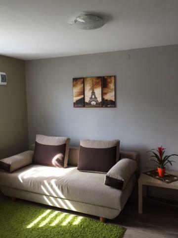 U Dzieciola Apartment Zwierzyniec Luaran gambar